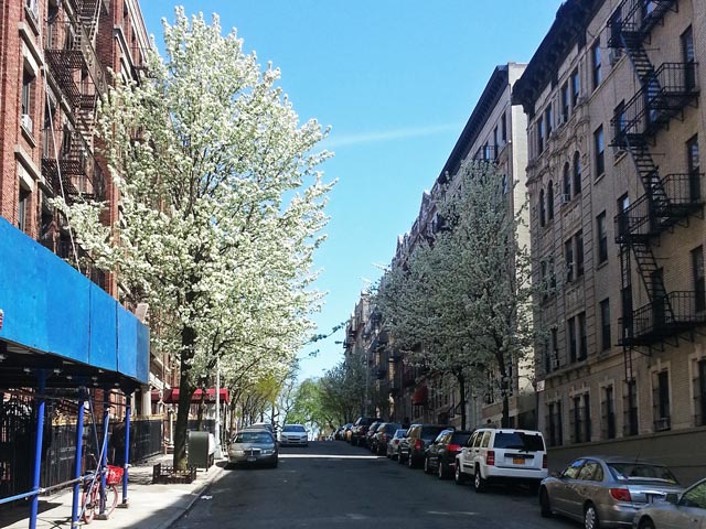 Tenements on 135th Street in Harlem