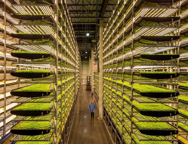 Why Is Vertical Farming Bad 9 Disadvantages Vertical Farming Planet - Riset