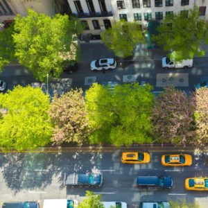 Existing aerial view of a traffic median along Park Avenue - Courtesy of Patrons of Park Avenue