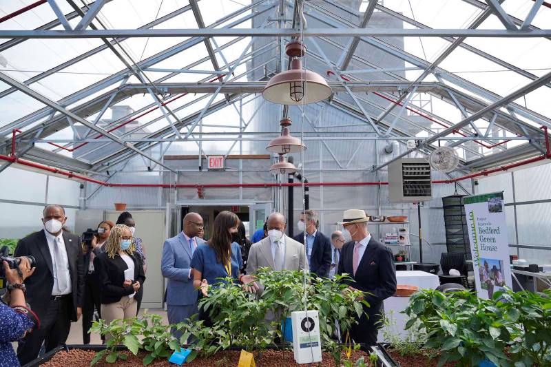 Inside the rooftop farm at Bedford Green House