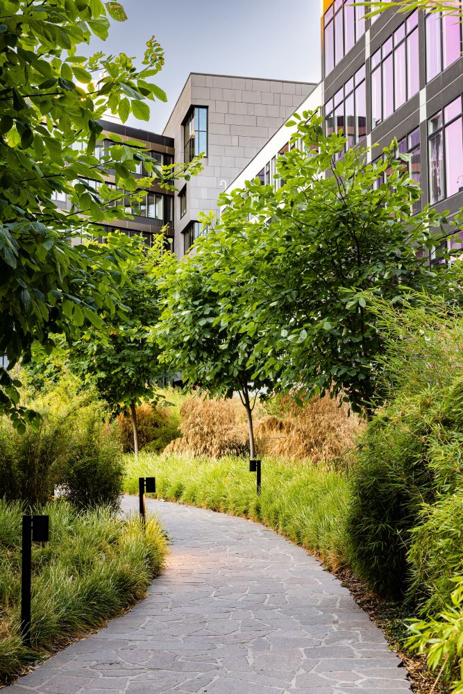 A winding path in the Stamford Urby courtyard