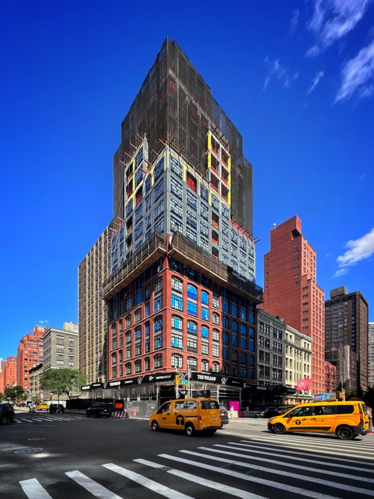 The Willow. Photo by Michael Young.