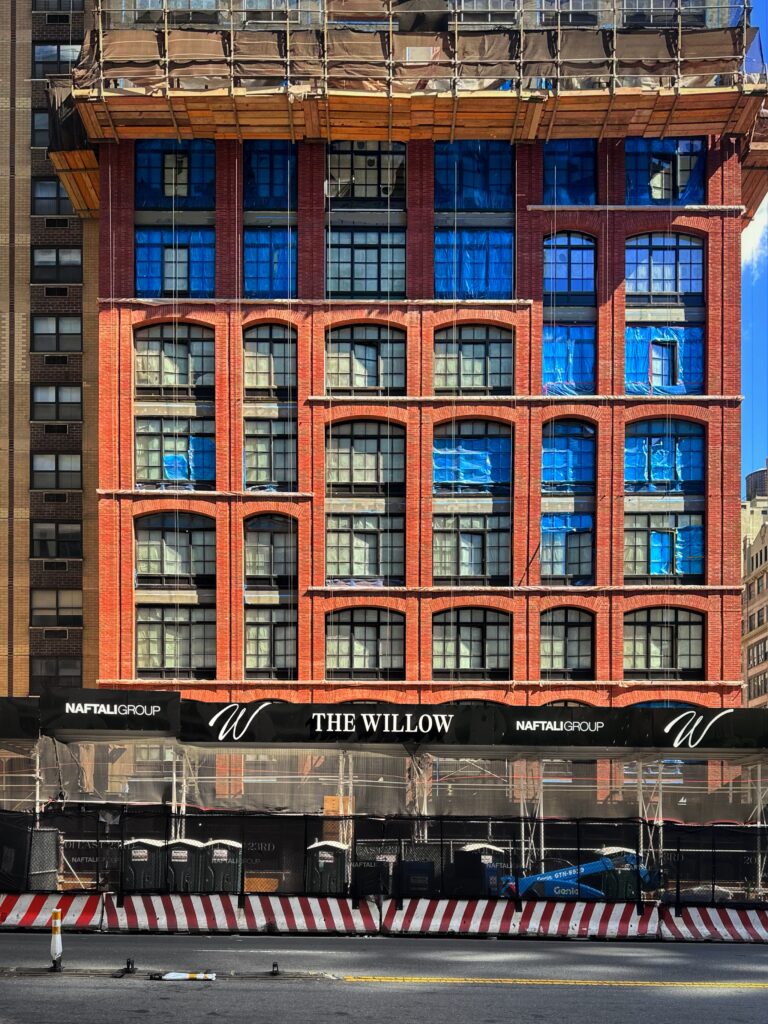The Willow. Photo by Michael Young.