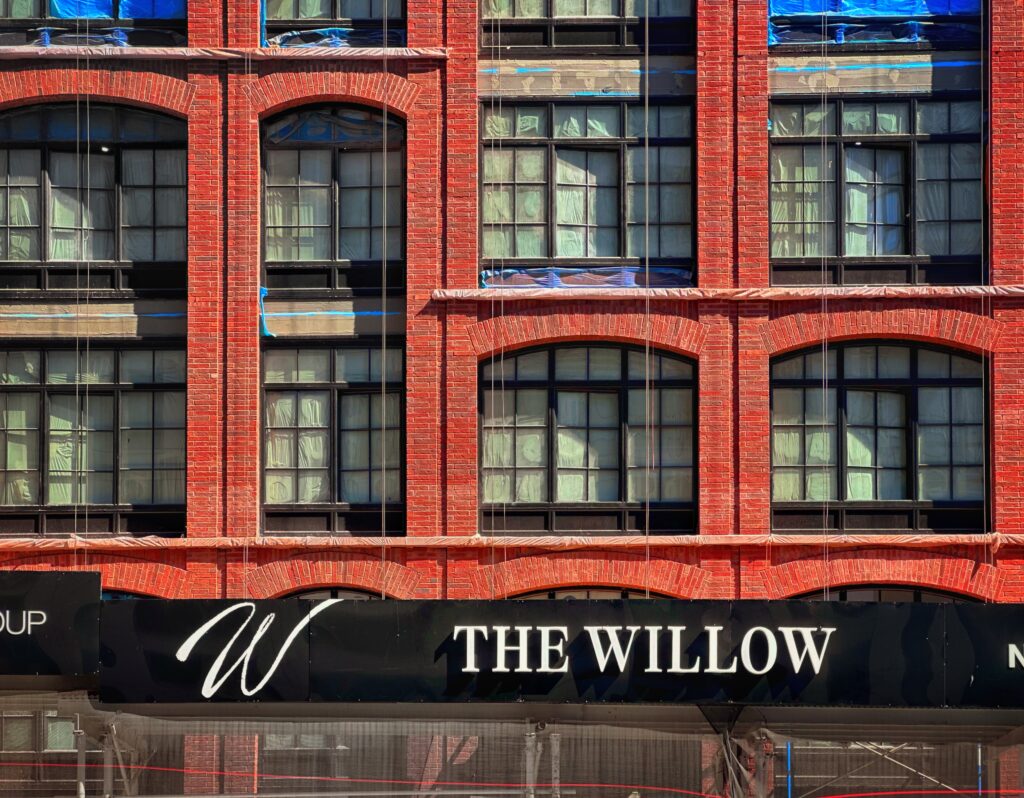 The Willow. Photo by Michael Young.
