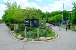Bloomingdale Park, via NYC Parks.