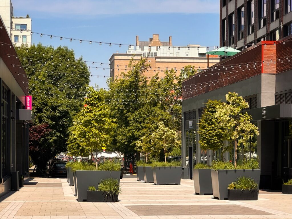 The outdoor plaza at Paseo on Fifth. Photo by Michael Younfg.