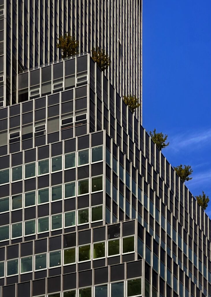 80 Pine Street. Photo by Michael Young.