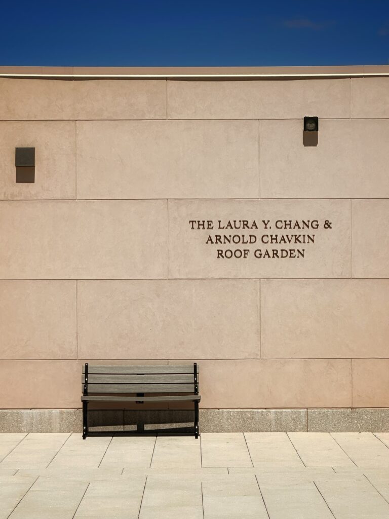 The roof of the Tang Wing for American Democracy. Photo by Michael Young.