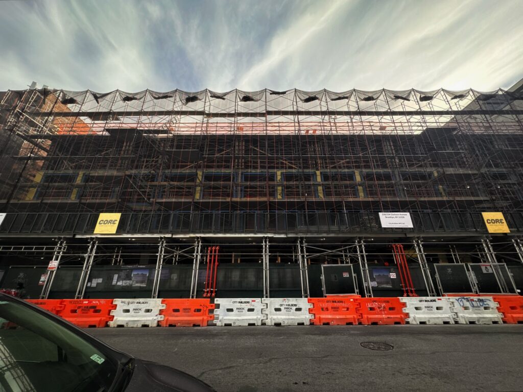 230-234 Clarkson Avenue. Photo by Michael Young. 