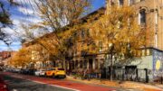 Prospect Lefferts Garden. Photo by Michael Young.