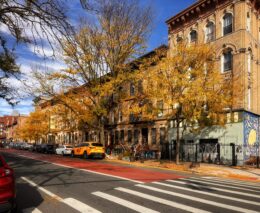 Prospect Lefferts Garden. Photo by Michael Young.