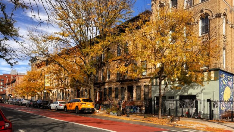 Prospect Lefferts Garden. Photo by Michael Young.